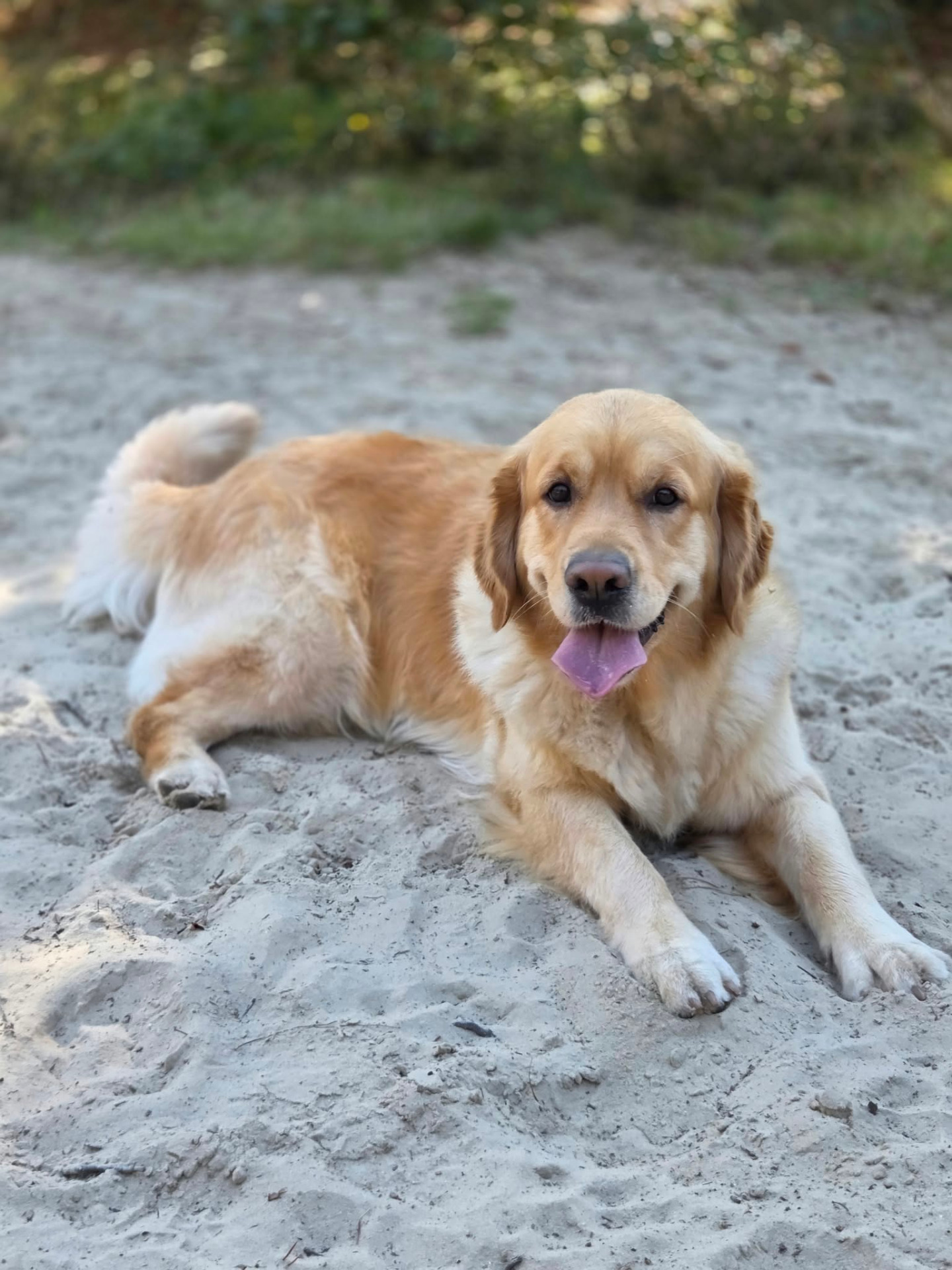 even een pauze tijdens de wandeling in het bos
