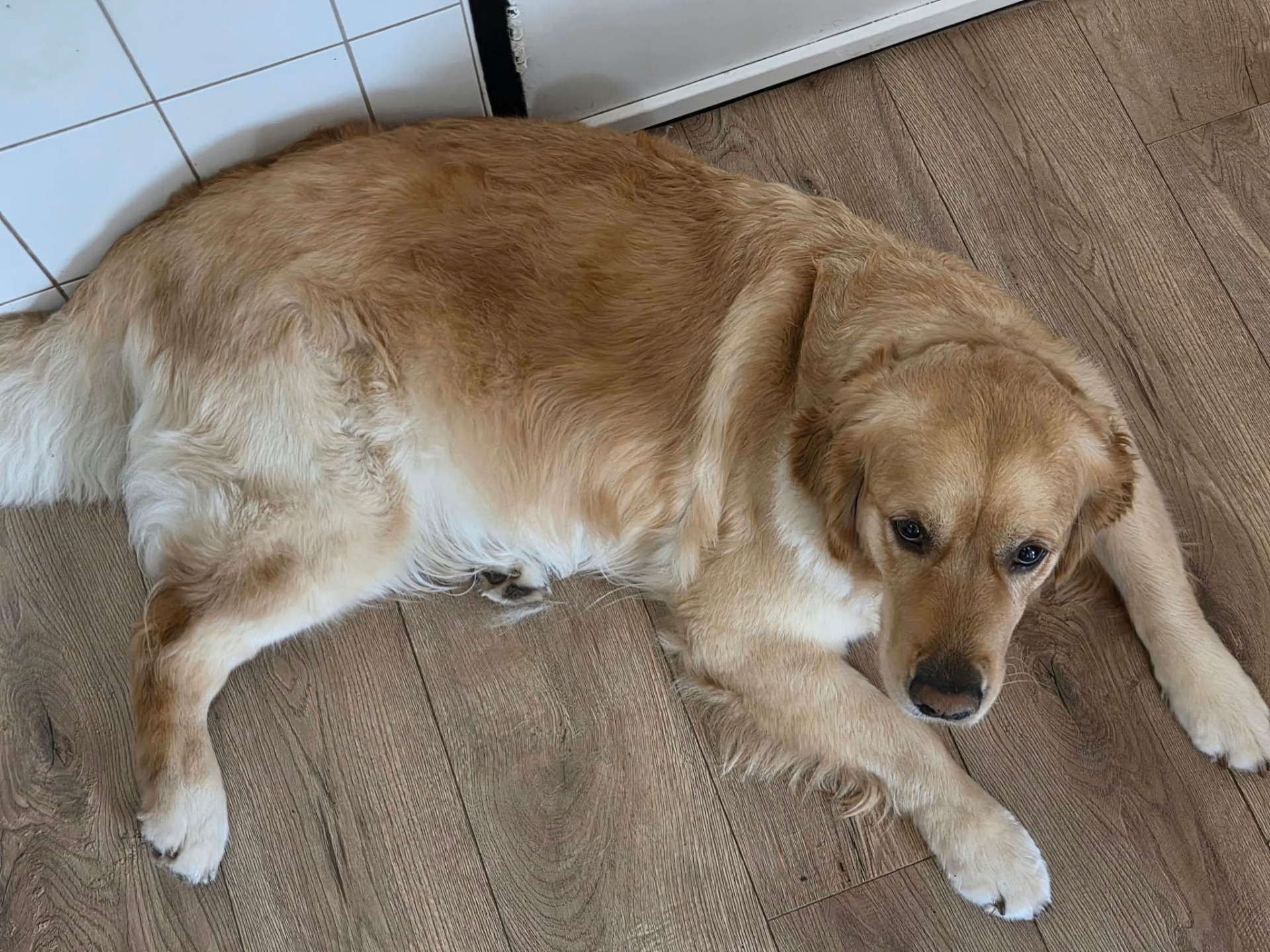 Haar buikje is nu zichtbaar aan het groeien